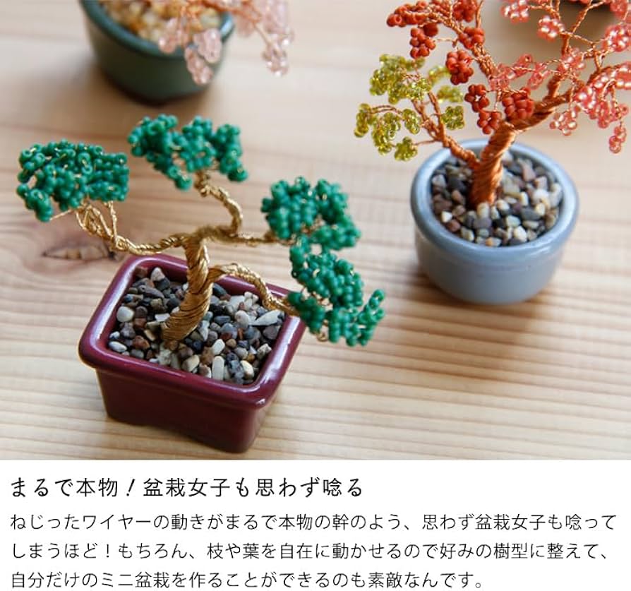 Amazon.co.jp: MIYUKI (ミユキ) ネジッテBONSAIキット ハンドメイド Amazon.co.jp: MIYUKI (ミユキ) ネジッテBONSAIキット ハンドメイド